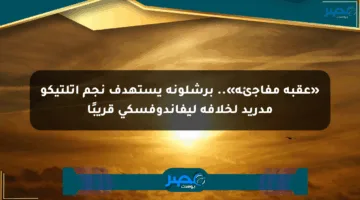 «عقبة مفاجئة».. برشلونة يستهدف نجم أتلتيكو مدريد لخلافة ليفاندوفسكي قريبًا